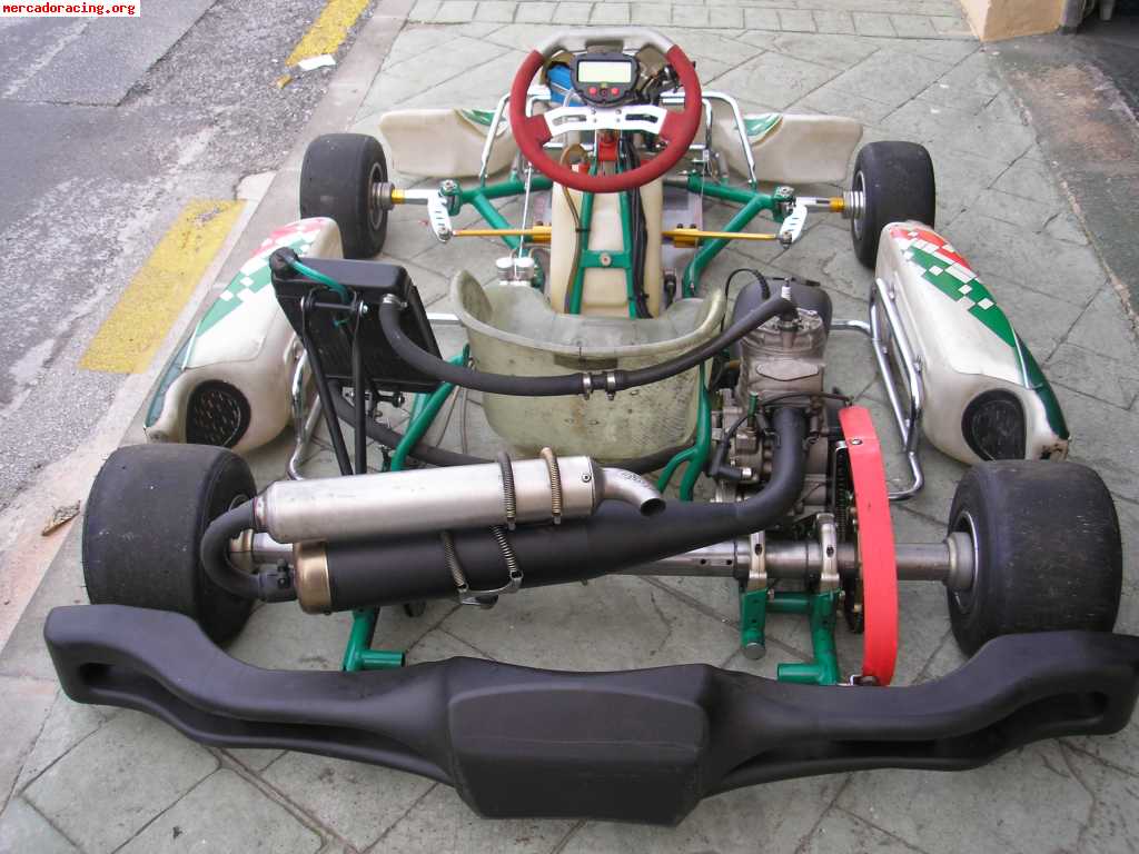 Tonykart modelo evr   xtr 125cc   alfano pro completo