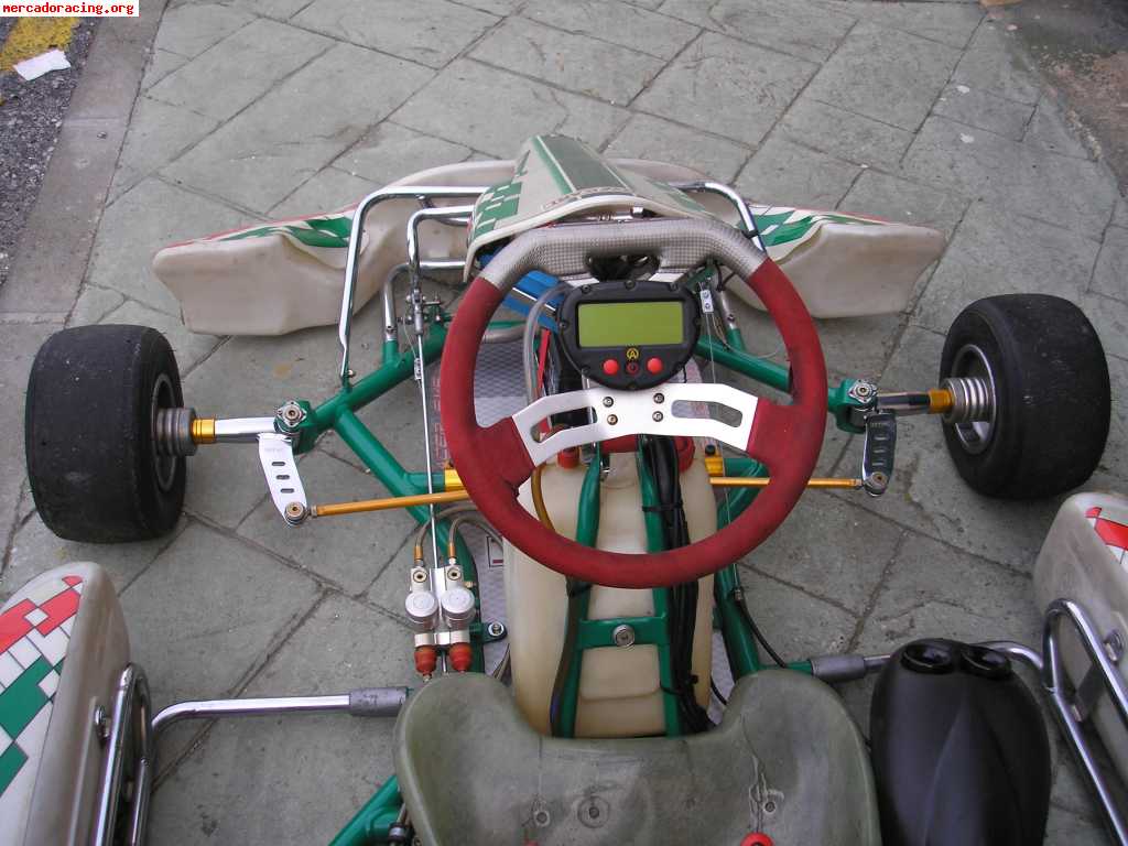 Tonykart modelo evr   xtr 125cc   alfano pro completo