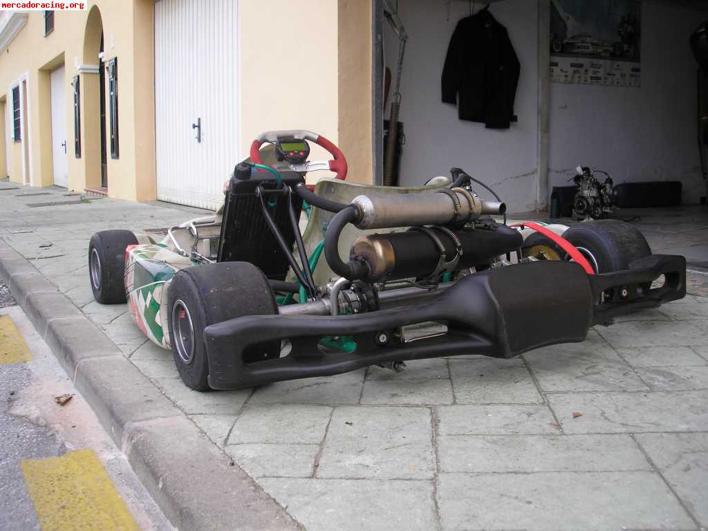 Tonykart modelo evr   xtr 125cc   alfano pro completo