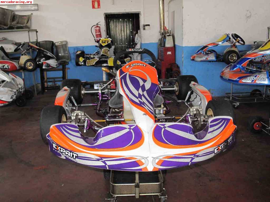 Exprit (tonykart) kz2 2010 tm k9c