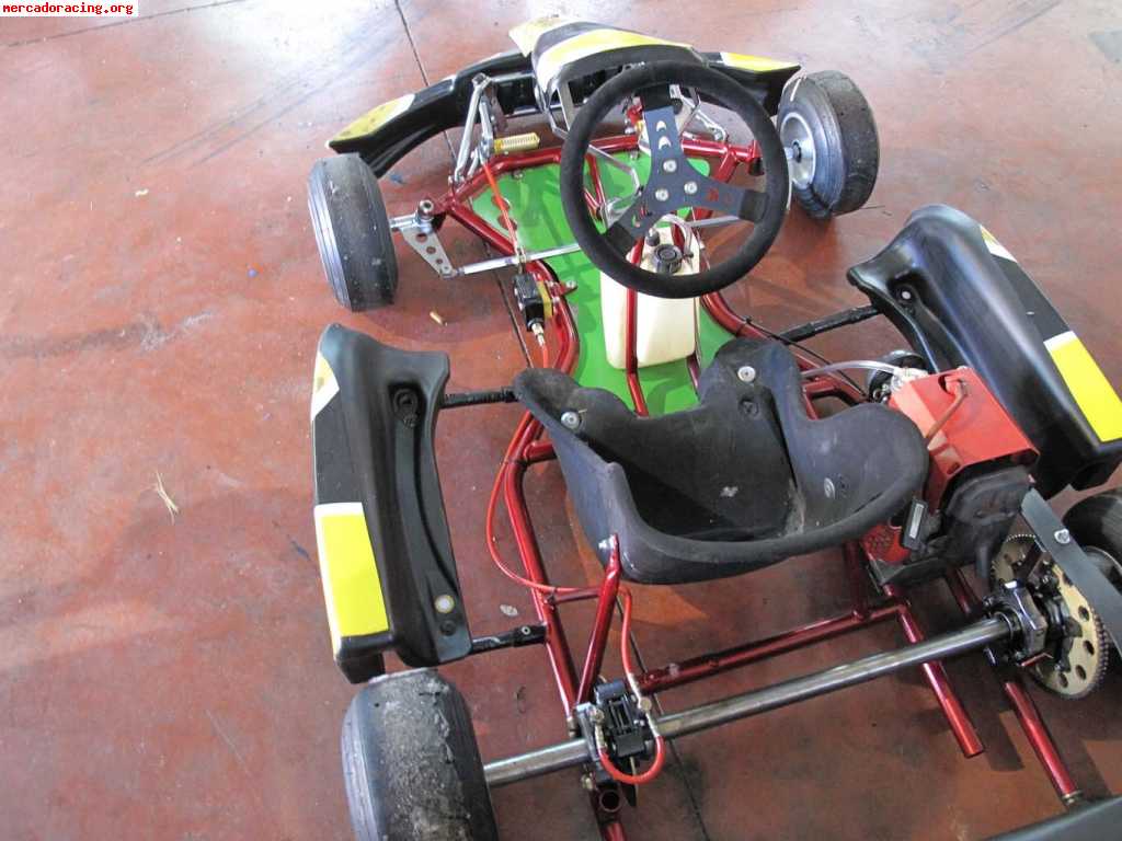 Kart pcr alevin comer 80 para niños