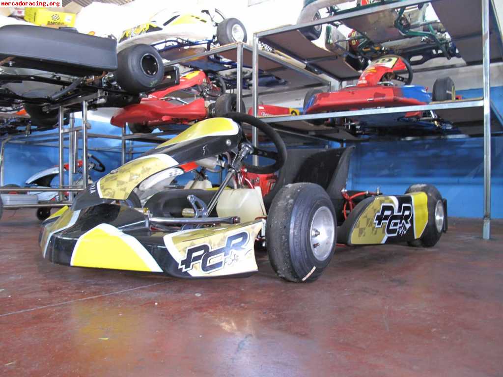 Kart pcr alevin comer 80 para niños