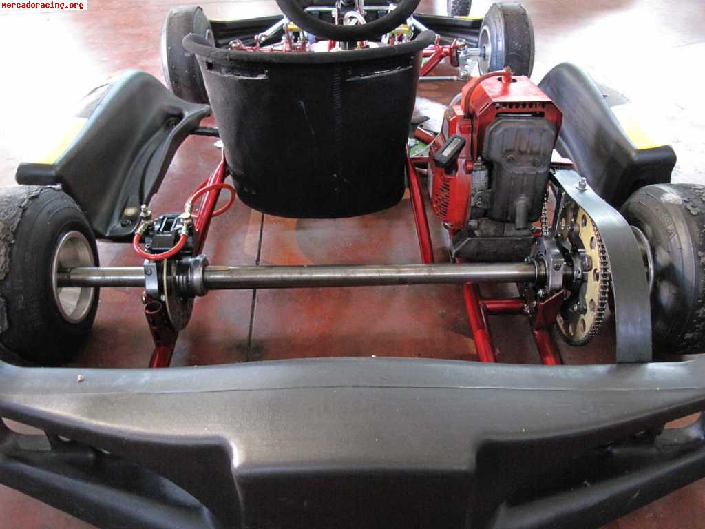 Kart pcr alevin comer 80 para niños