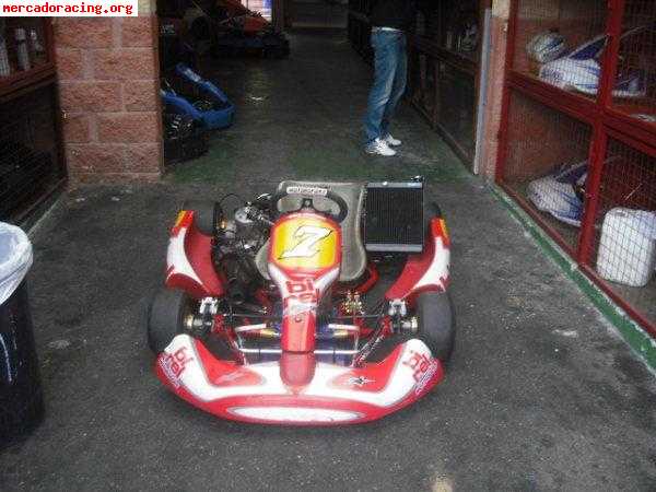 Birel tm k9