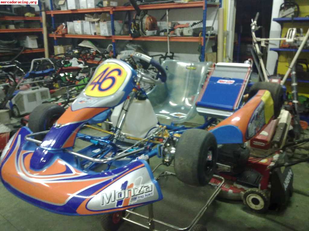 Vendo kart monza 