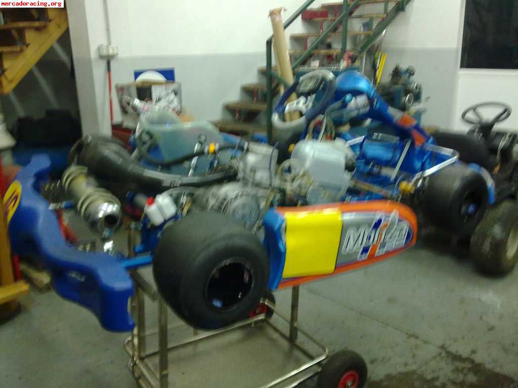 Vendo kart monza 