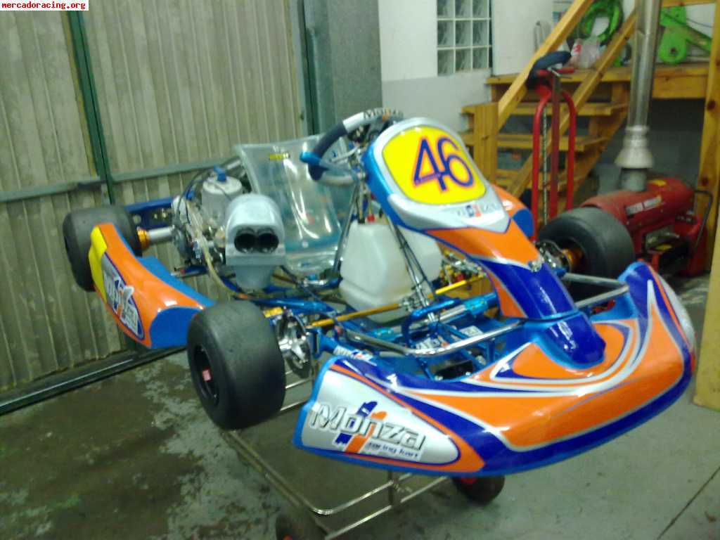 Vendo kart monza 