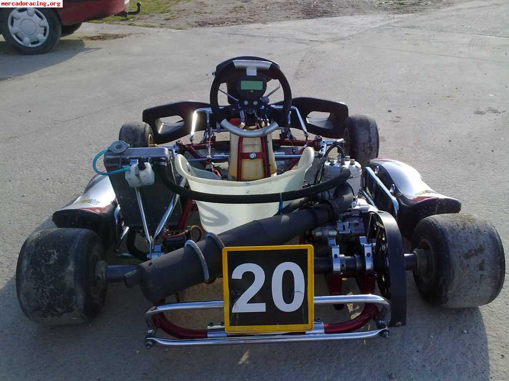 Vendo kart 125 pata negra