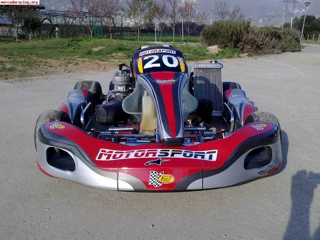 Vendo kart 125 pata negra