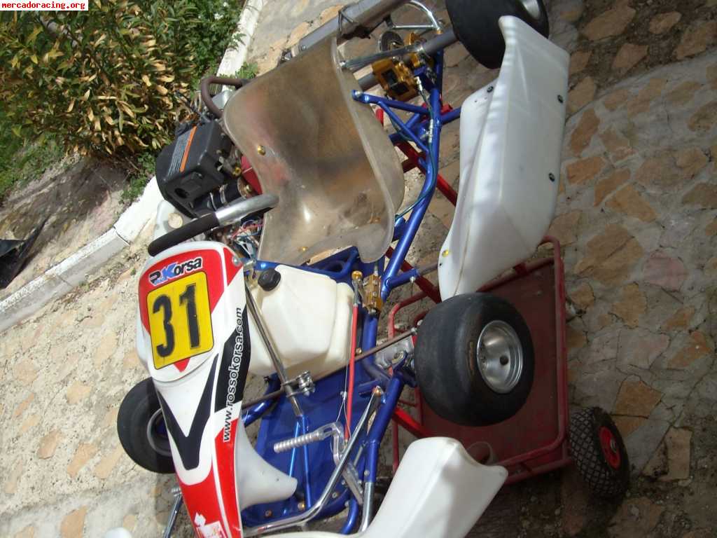 Vendo kart 270cc 4t con chasis nuevo