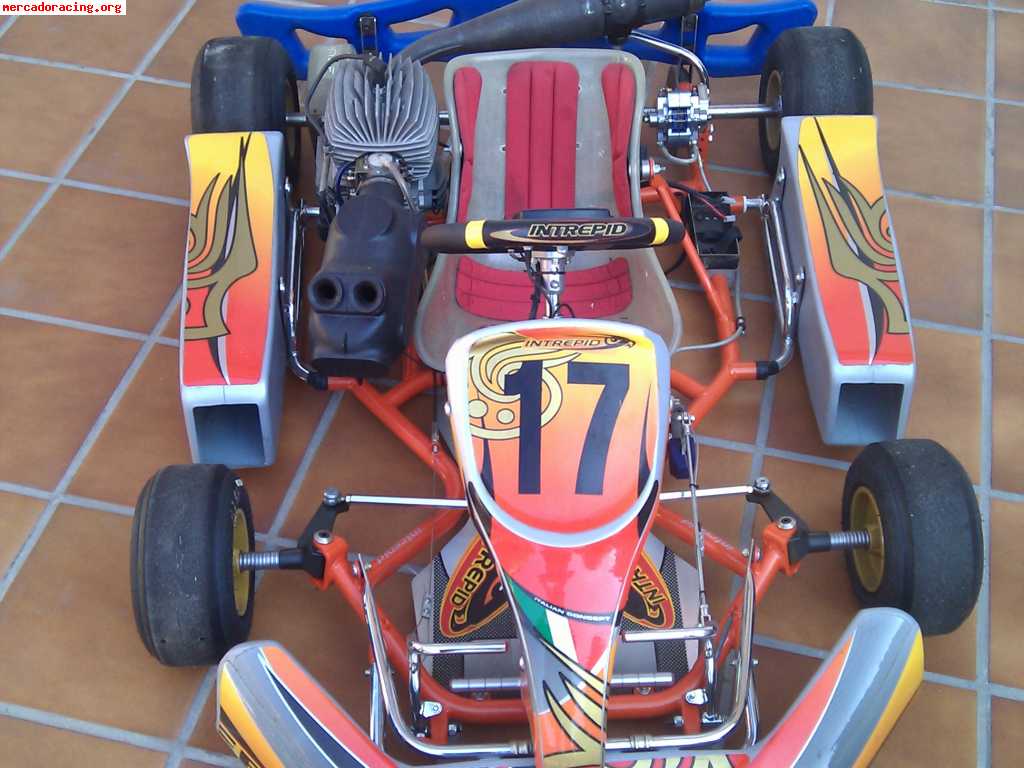 En venta 2 karts intrepid competición alevin -by faluga-