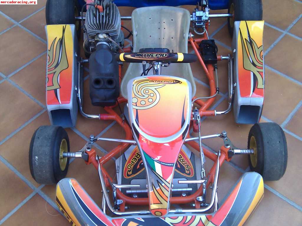 En venta 2 karts intrepid competición alevin -by faluga-