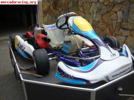 Se vende kart amv con remolque y equipacion de piloto..