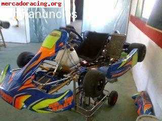 Vendo kart rotax dd2