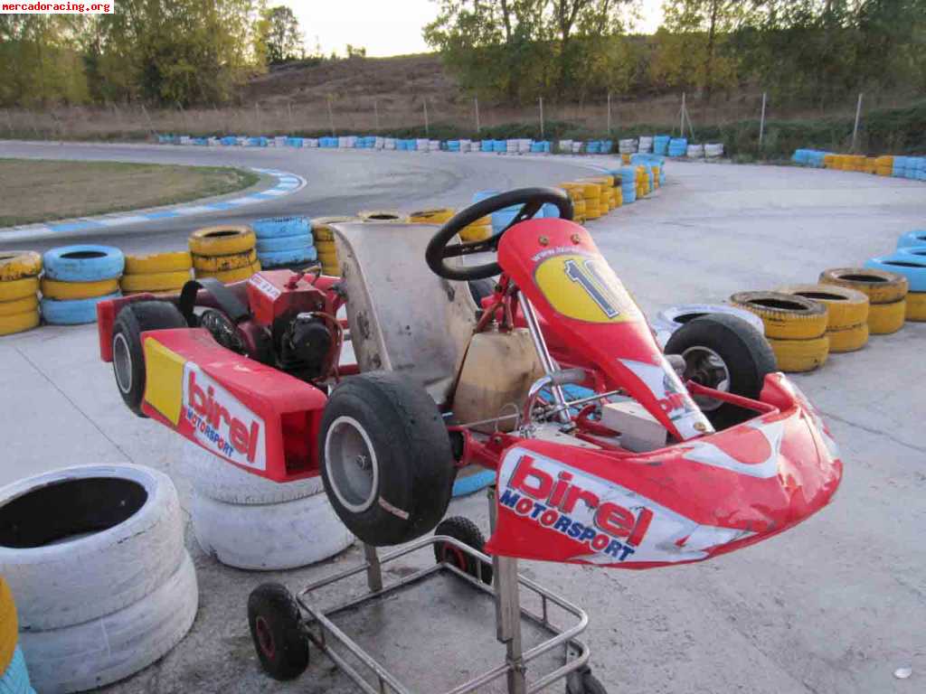 Birel comer 80cc