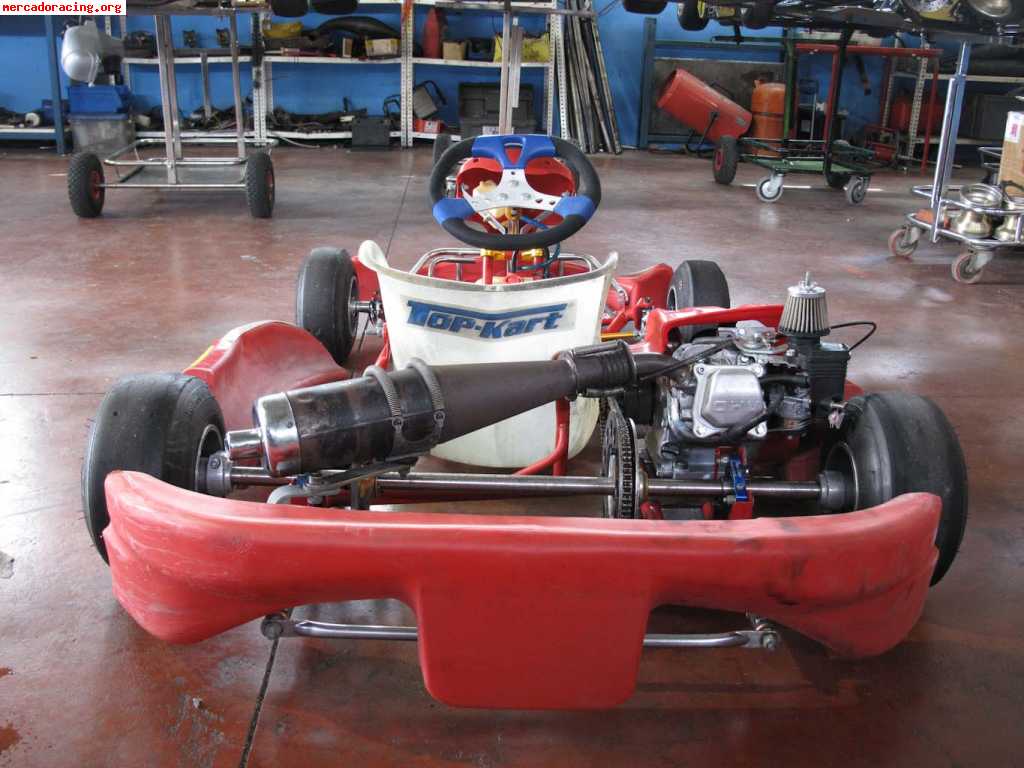 Birel honda 160cc