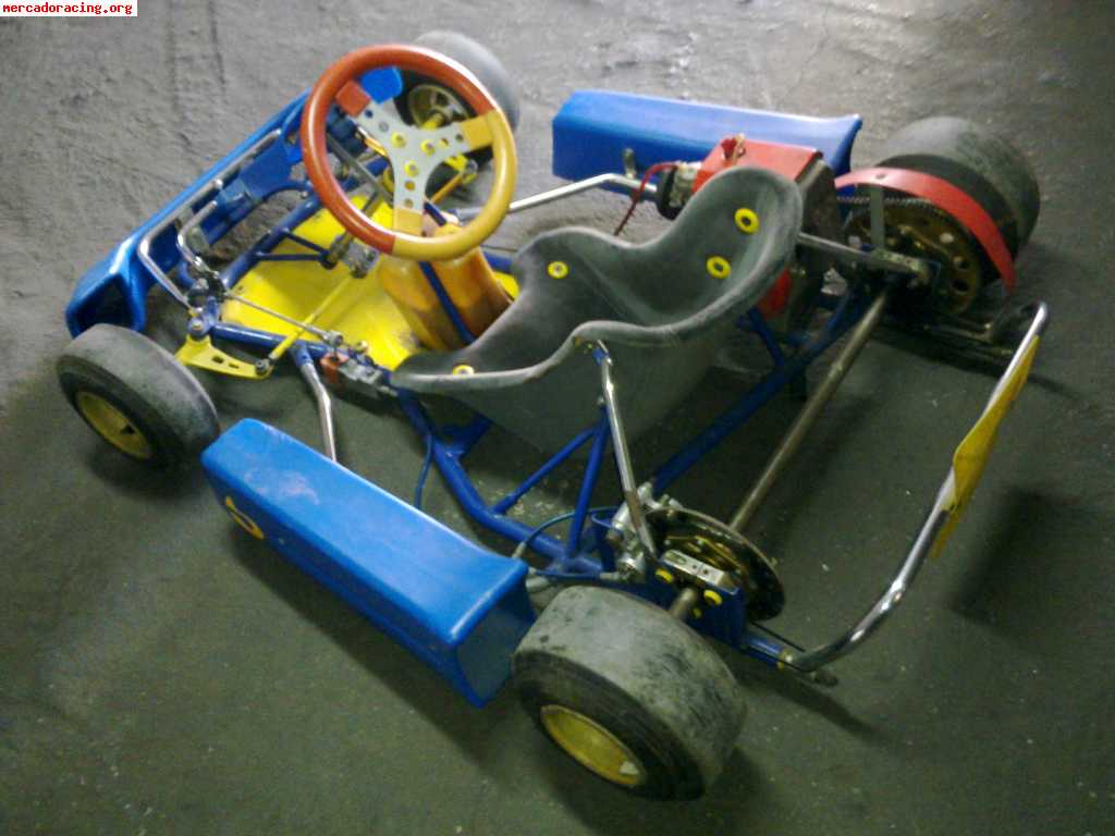 Vendo kart energy comet 80 cc