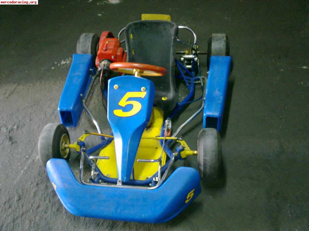 Vendo kart energy comet 80 cc