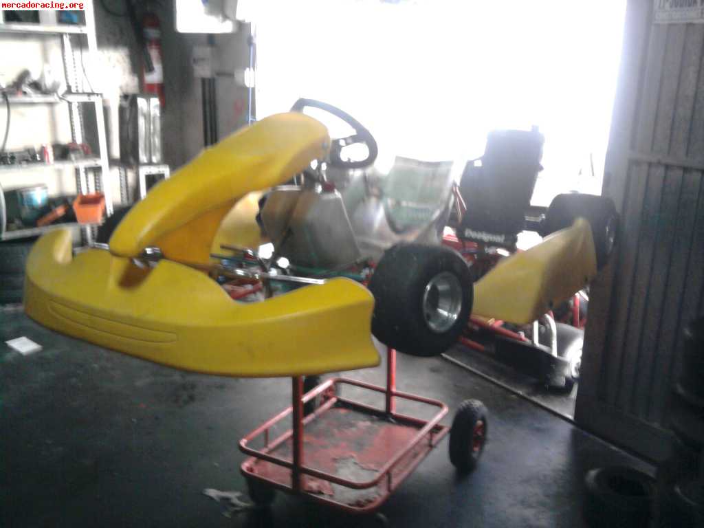Se vende tecnokarts del 2005 seminuevo