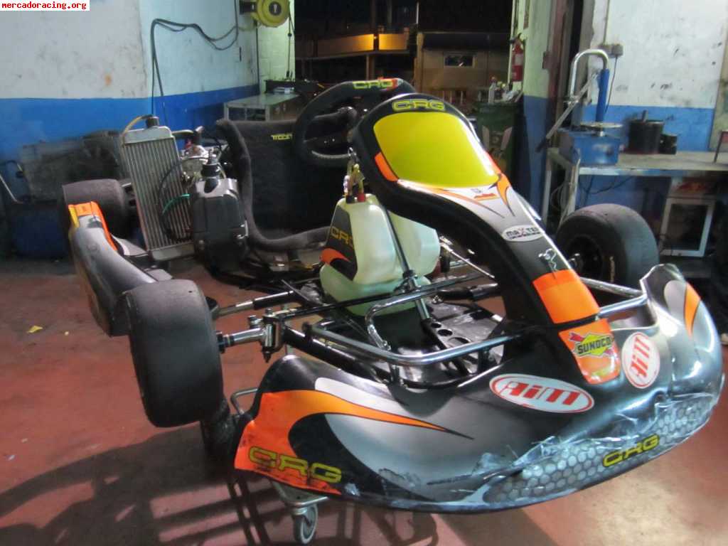 Crg rotax max 2008 en ¡¡¡¡1600!!!