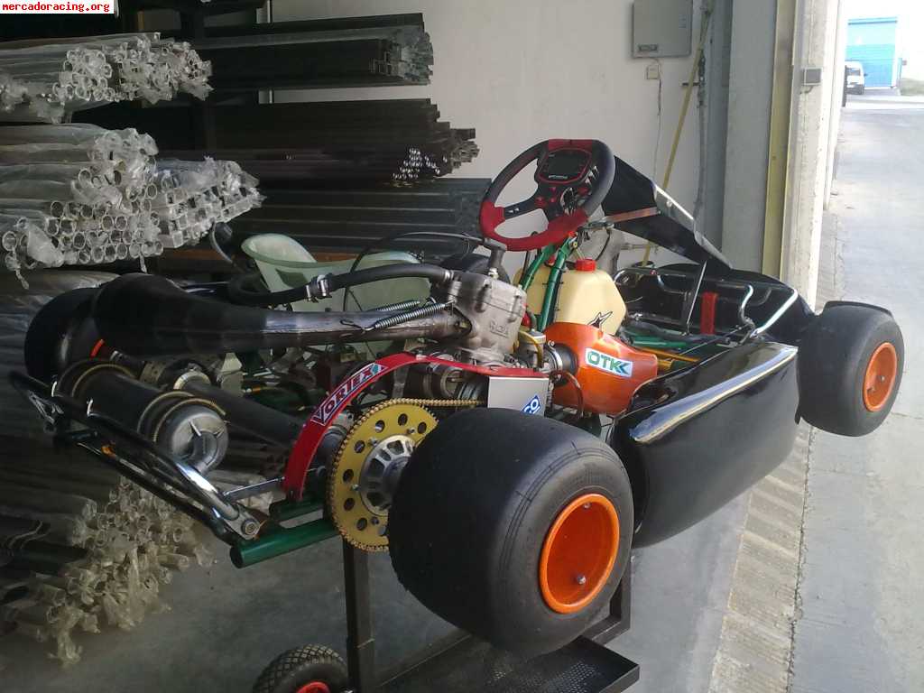 Tony kart 125 automatico