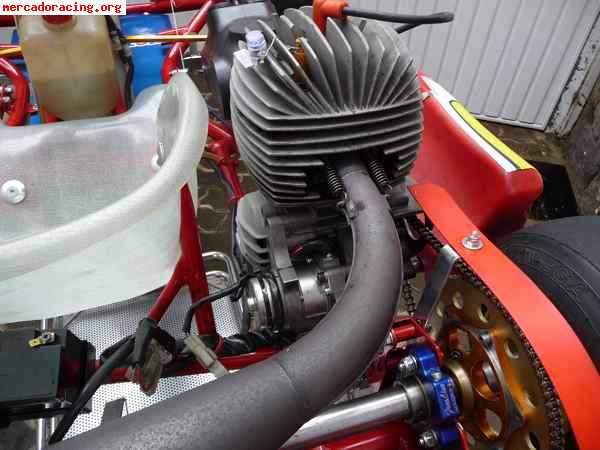 Birel cadete, puma 85