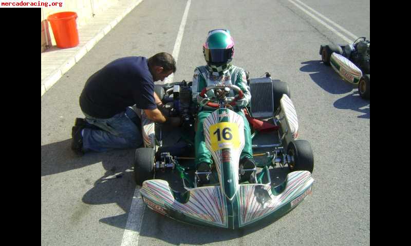 Tony kart x30