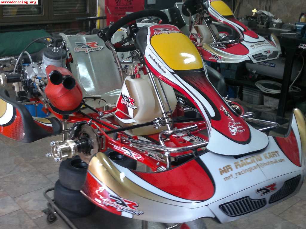 Vendo kart danilo rossi kz2 año 2010