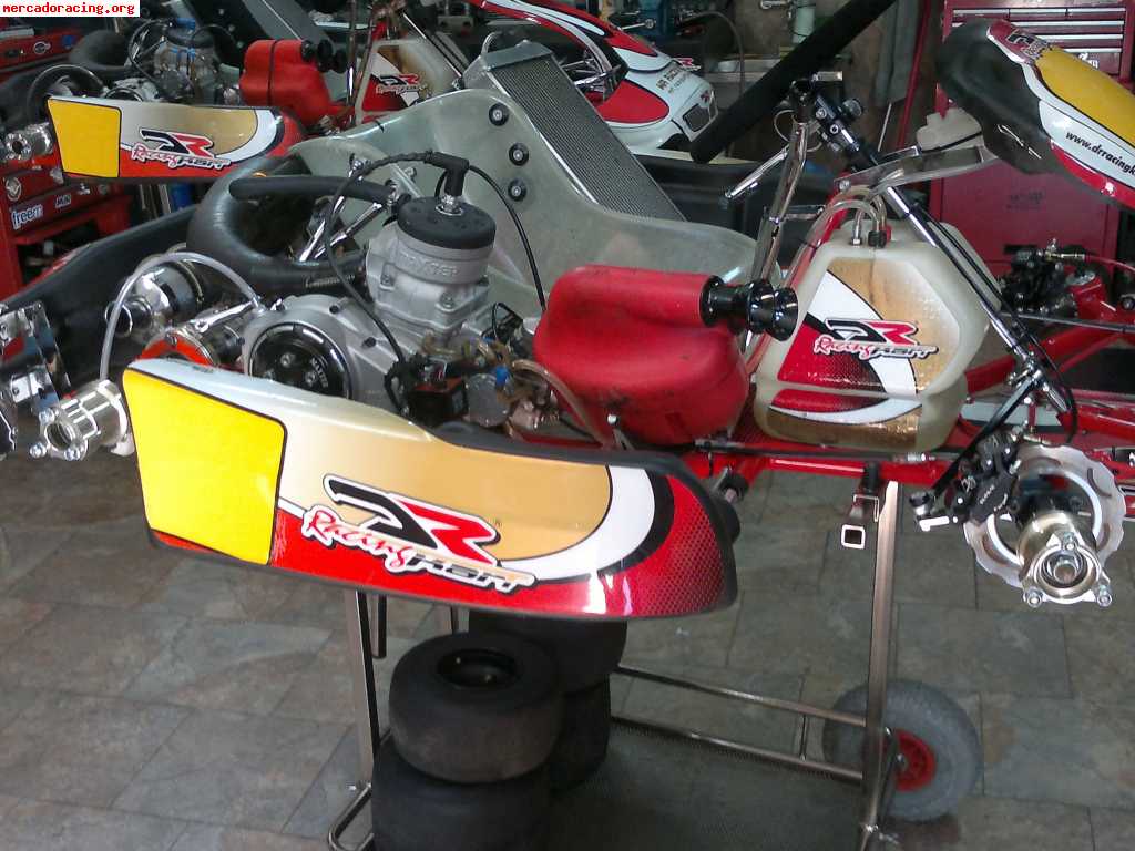 Vendo kart danilo rossi kz2 año 2010