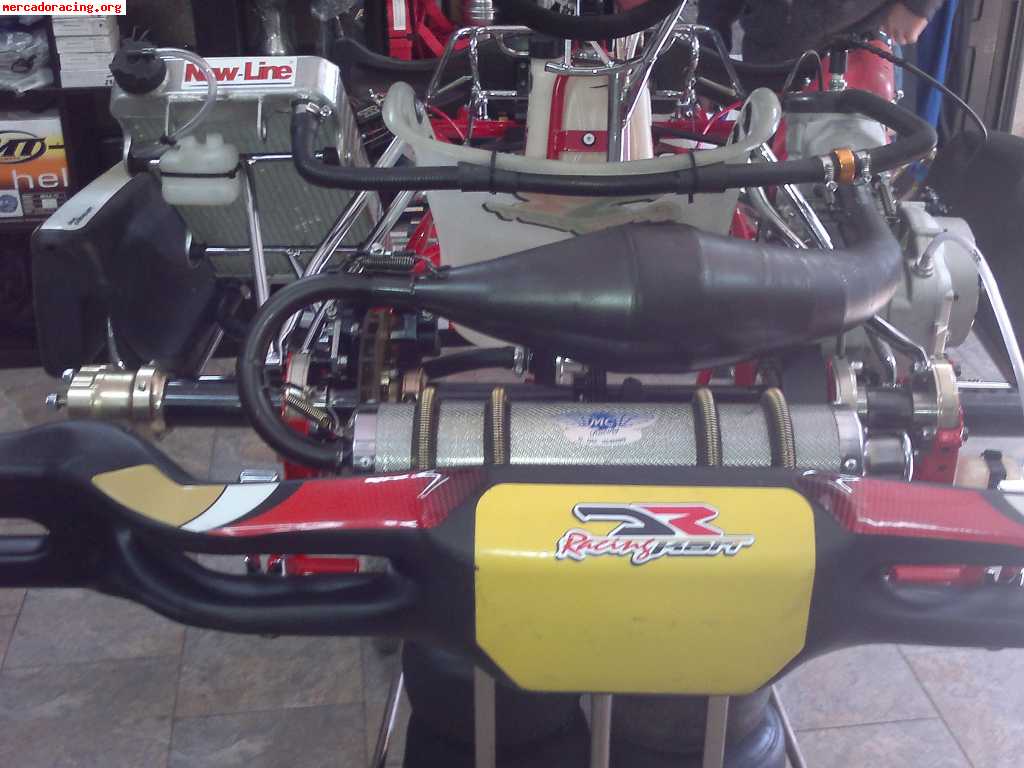 Vendo kart danilo rossi kz2 año 2010