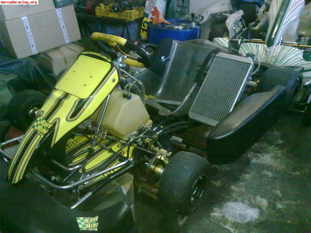 Tony kart kz mini brasil