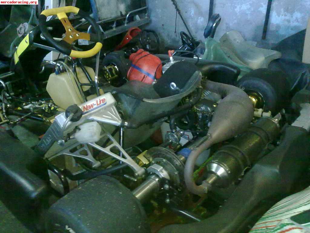 Tony kart kz mini brasil