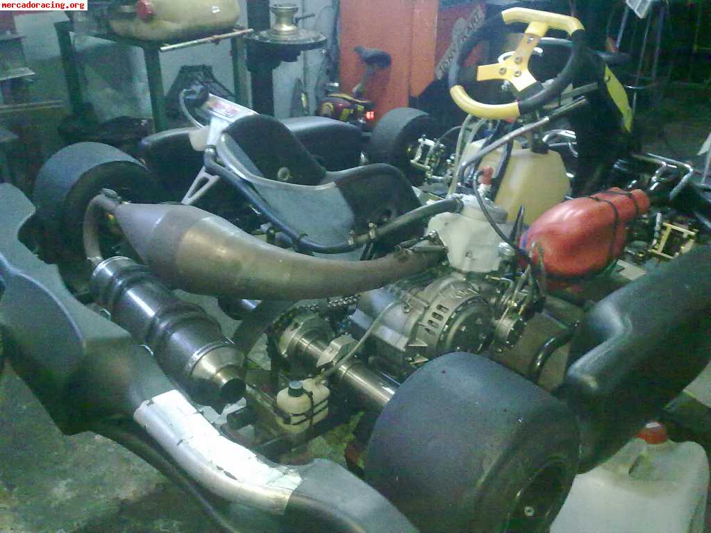 Tony kart kz mini brasil