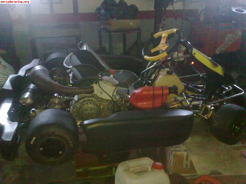 Tony kart kz mini brasil