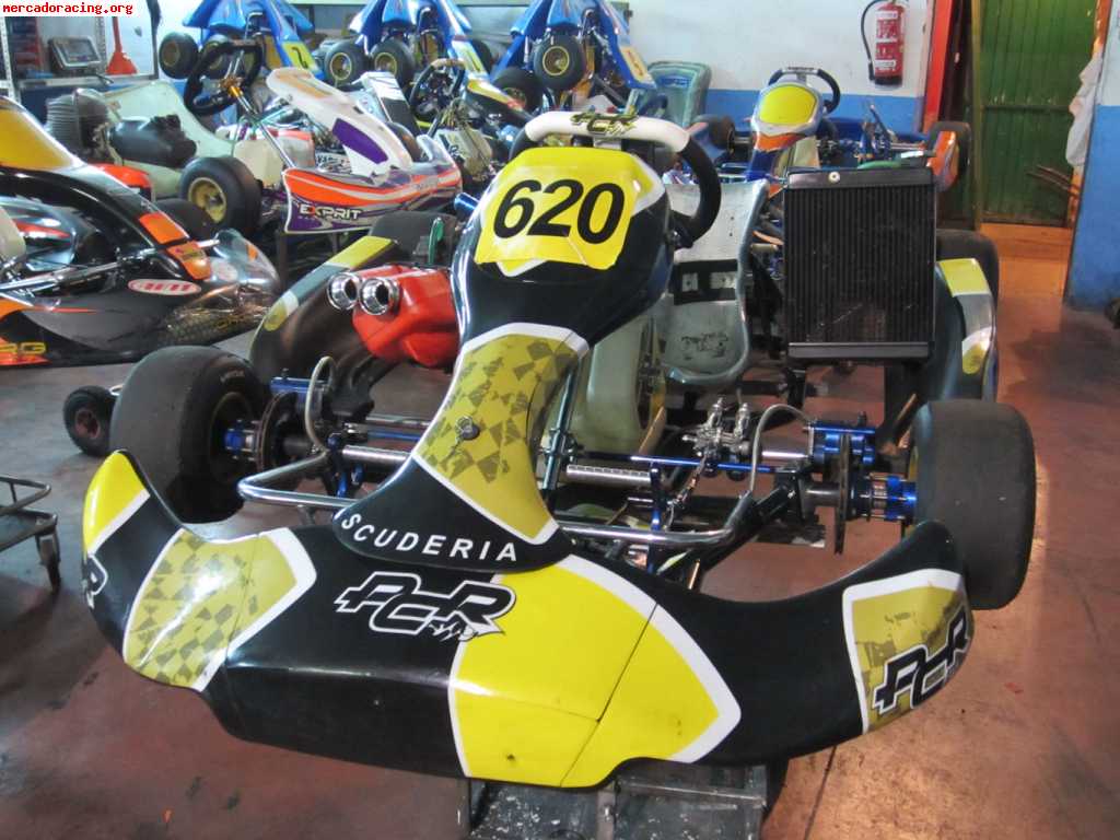 Pcr kz2 tm kz10 maxima prep. tm oficial