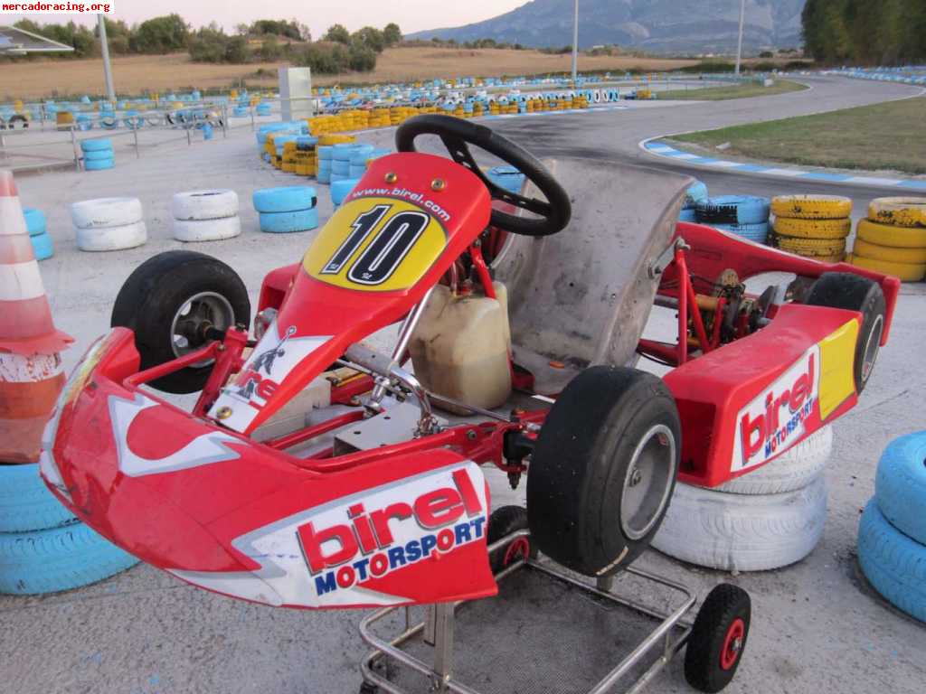 Birel comer 80cc muy barato ¡¡¡750€!!!