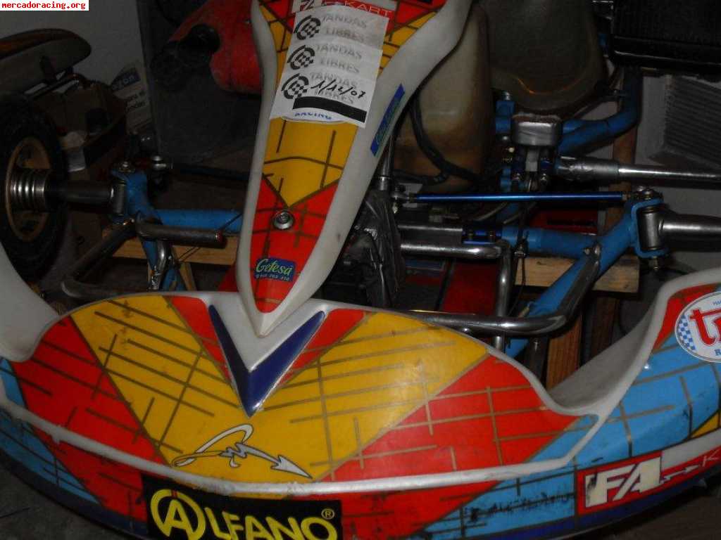 Kart  fernando alonso   motor x30 con alfano