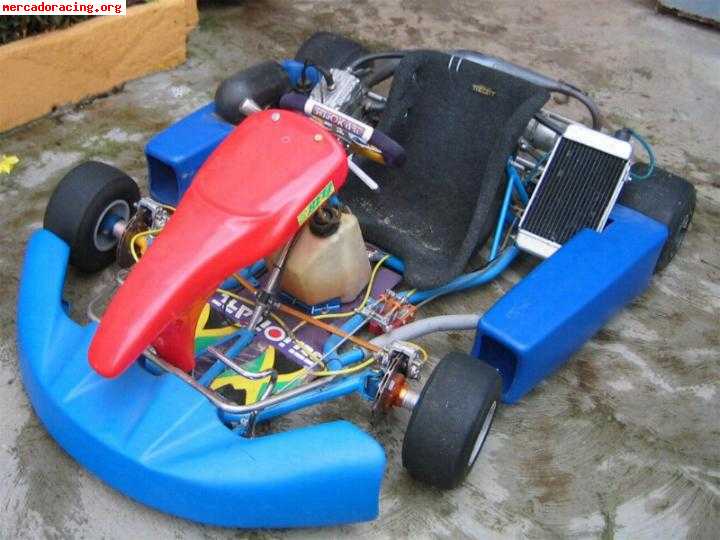 Vendo kart icc