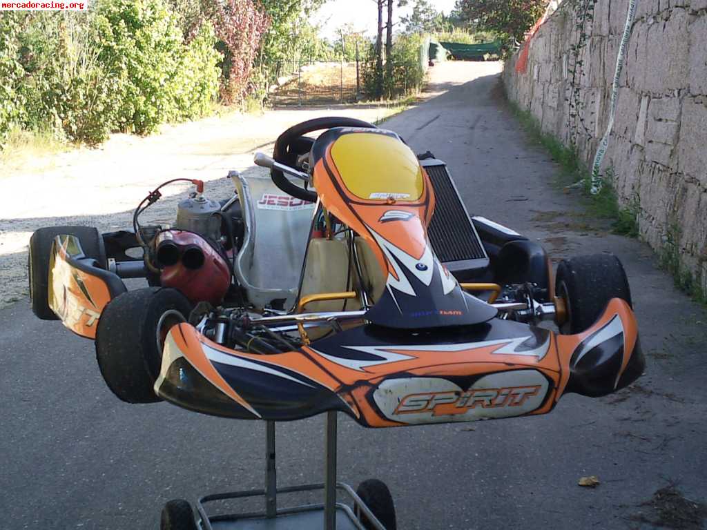 Se vende kart kz2 del 2009