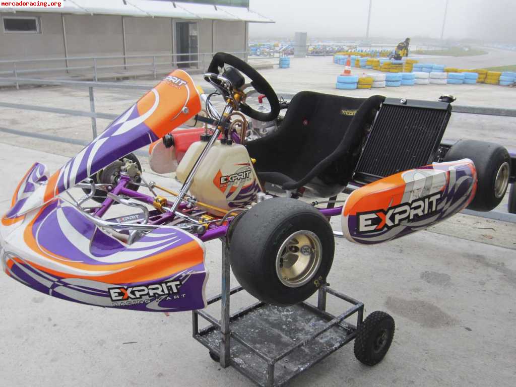 Exprit-tonykart 2010 tm kz10 max prep ¡¡impecable!!