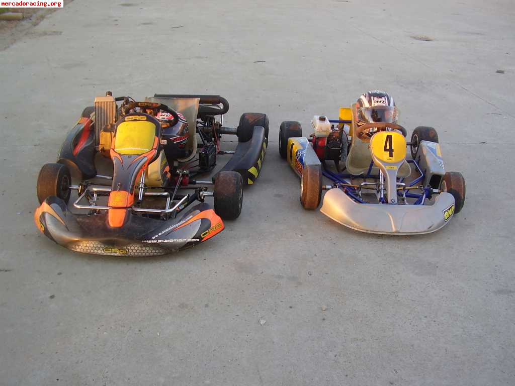 Vendo-cambio kart rotax crg 125