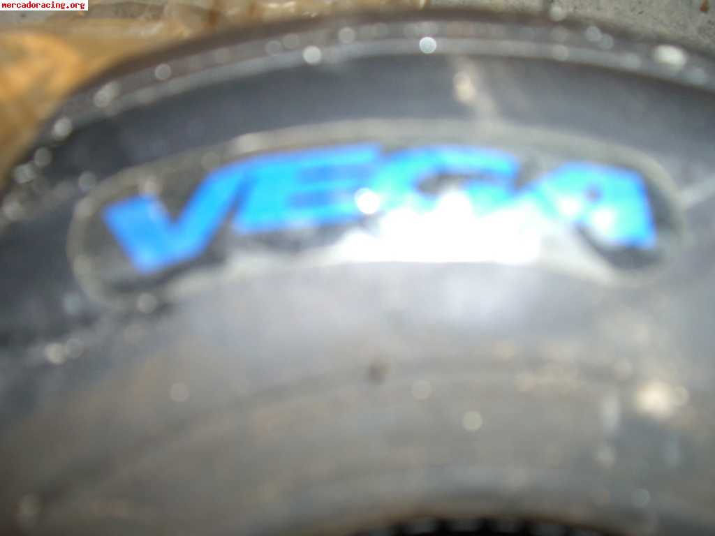 Venta 4 ruedas kart vega 95e sin estrenar