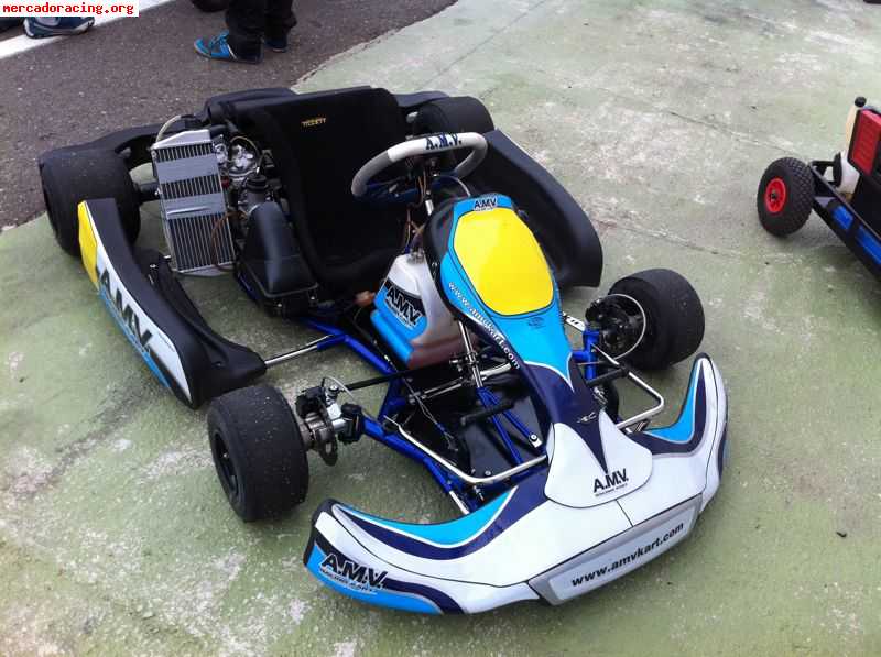 Rotax max 2011