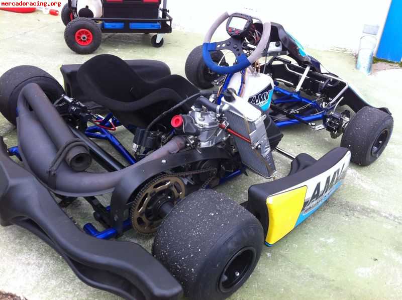 Rotax max 2011