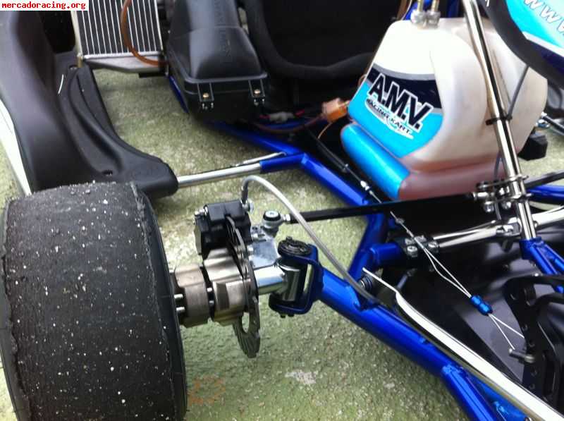 Rotax max 2011