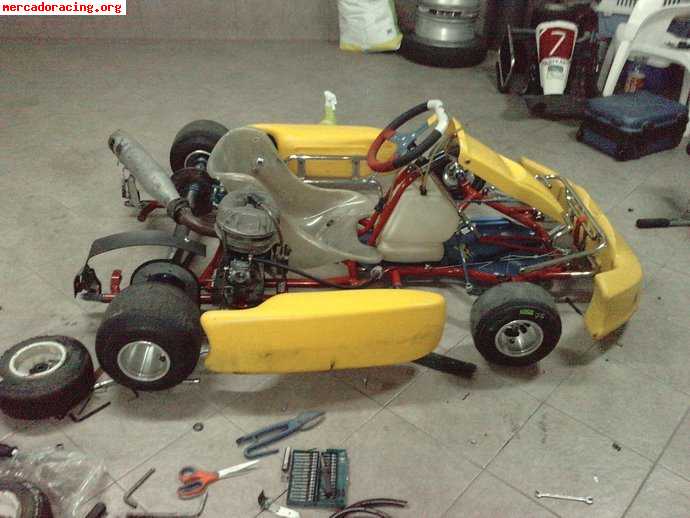 Kart pcr 100cc adulto