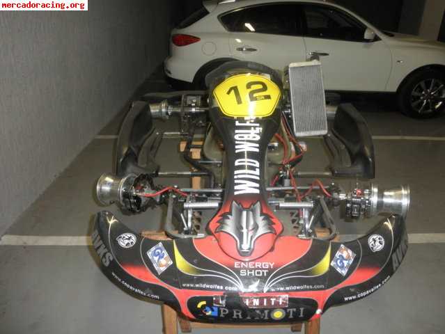 Se venden karts avks parolin 