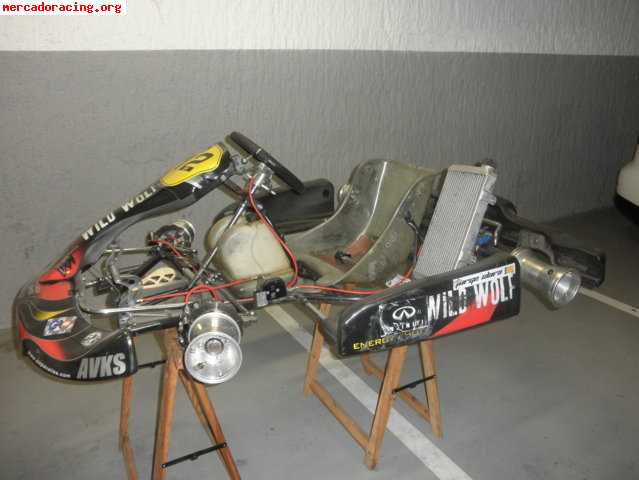 Se venden karts avks parolin 