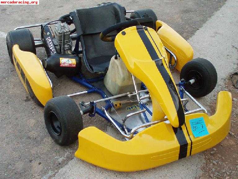 Se vende kart 100cc