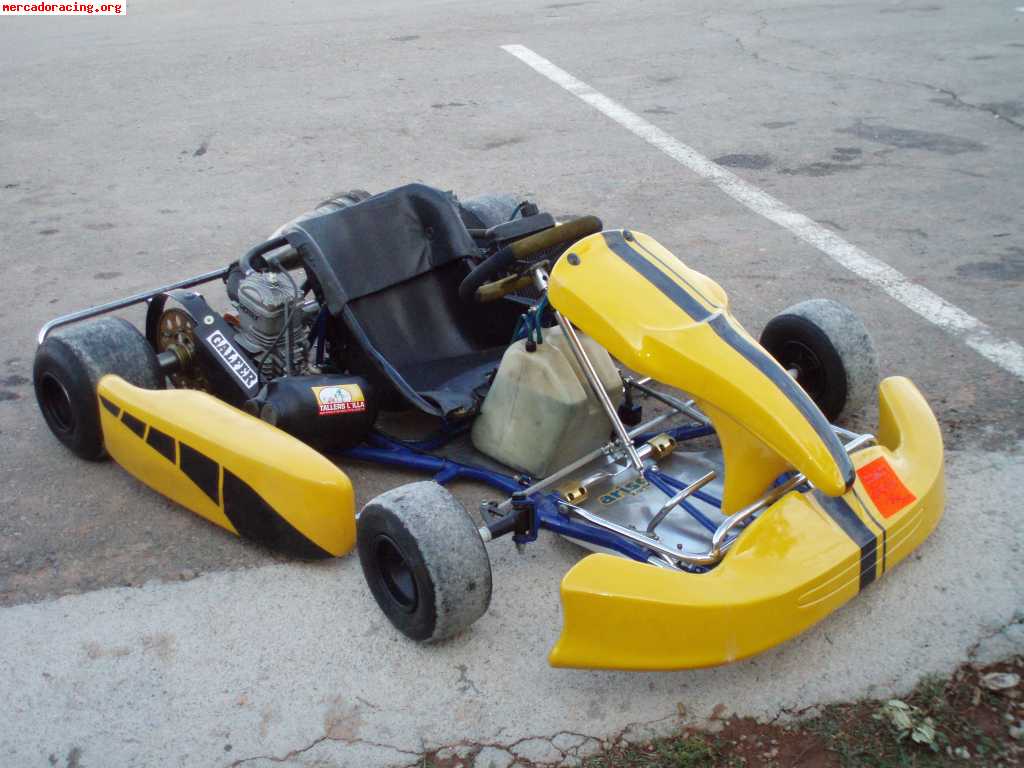 Se vende kart 100cc